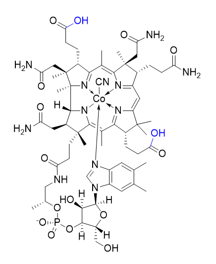 维生素B12杂质08